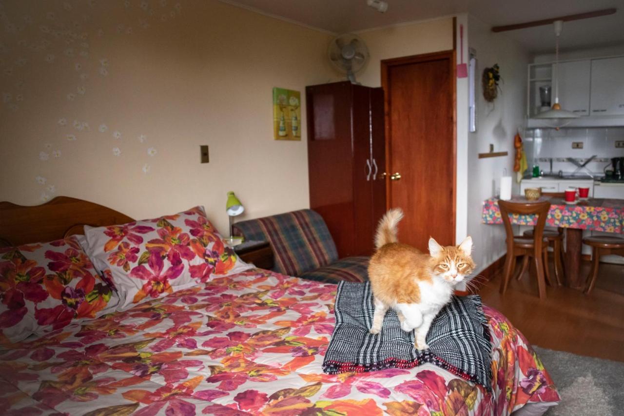 Los Gualles De La Candelaria Apart Hotel 푸콘 외부 사진