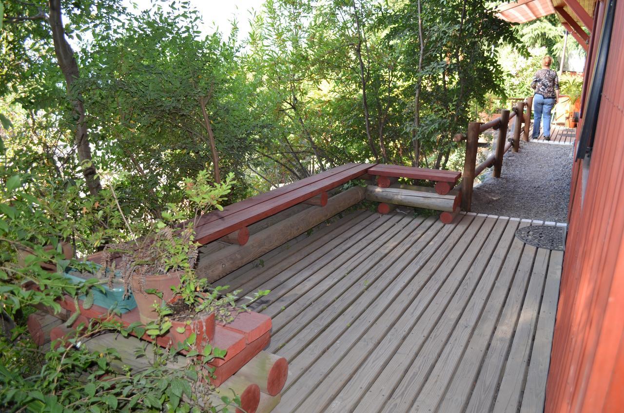 Los Gualles De La Candelaria Apart Hotel 푸콘 외부 사진
